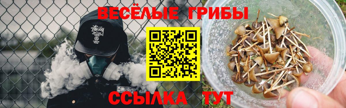 Кузнецк  Галлюциногенные грибы Magic Shrooms  Вход с VPN 